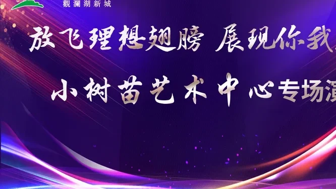 放飞理想翅膀 展现你我风采活动现场封面